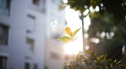 Vi bygger bærekraft Vi bygger bærekraft