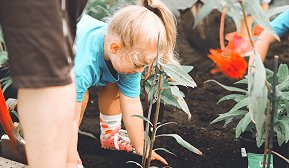 Gjør huset klart for sommer og uteliv 1 Barn som planter i jord